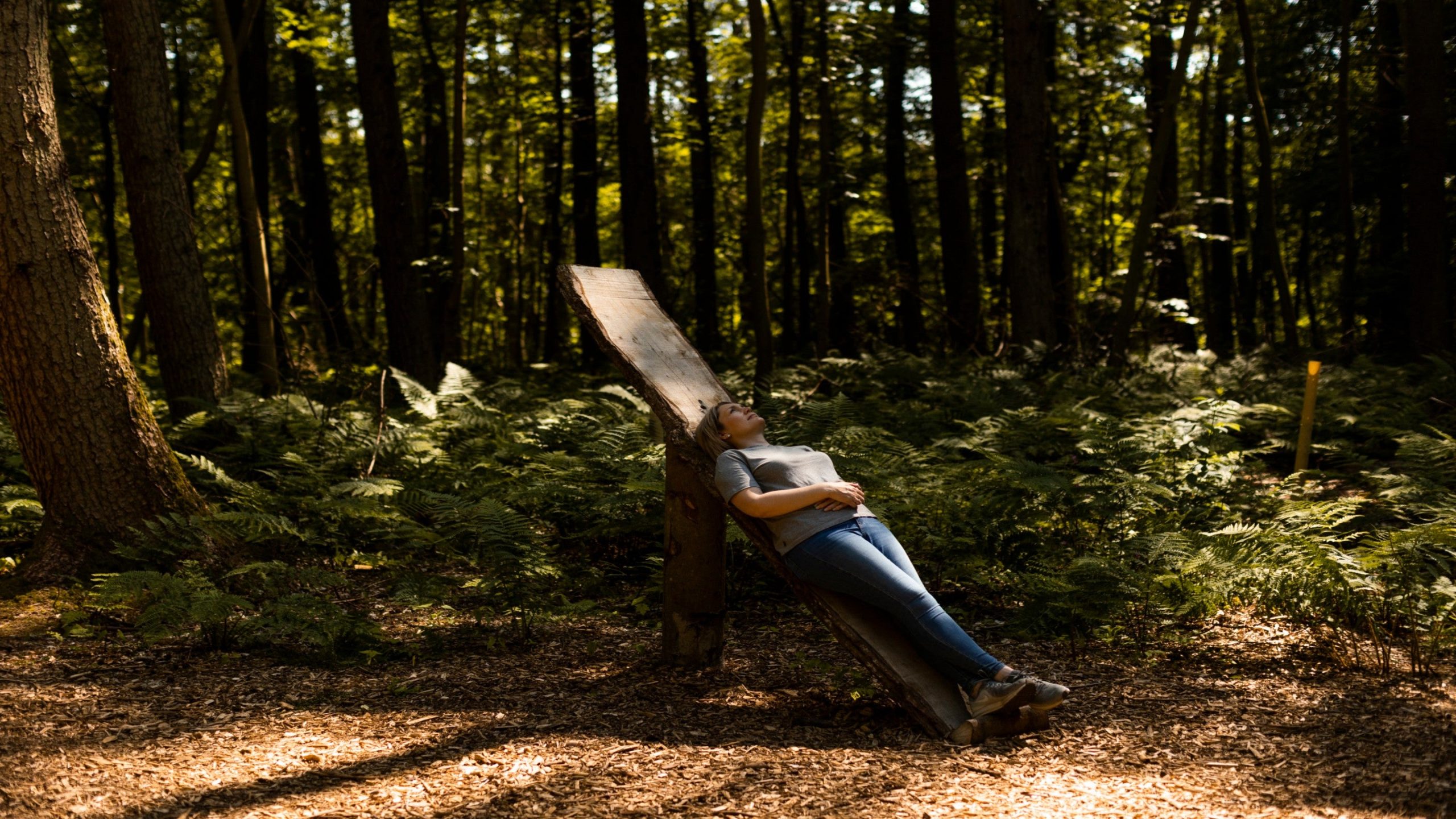 Forest Bathing